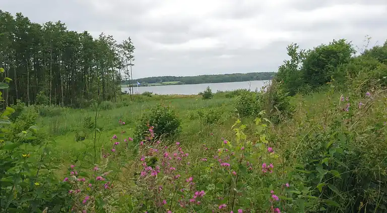 Holiday home in Aabenraa