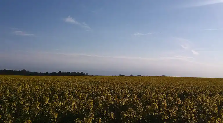 Holiday home in Jægerspris