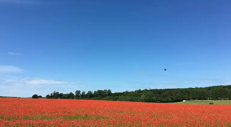 Holiday home in Jægerspris