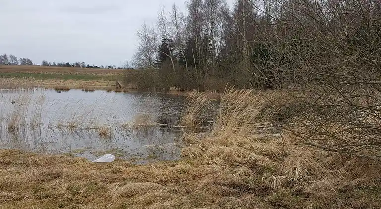 Holiday home in Jægerspris