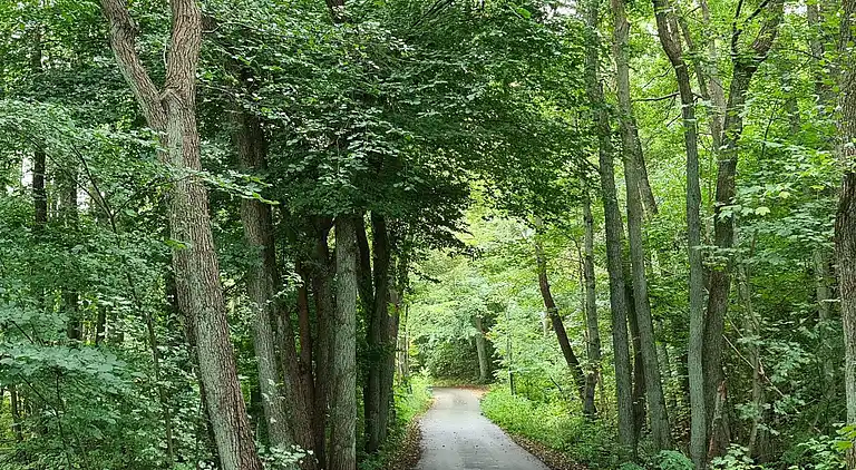 Holiday home in Jægerspris