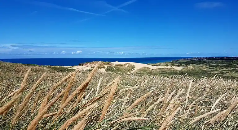 Holiday home in Nr Lyngby Strand