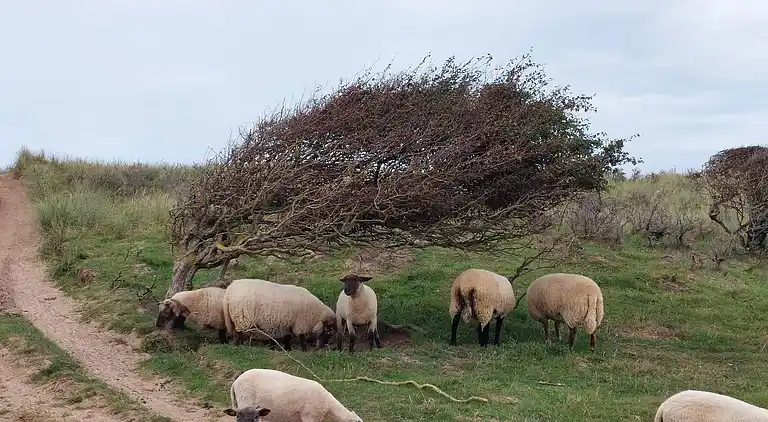 Holiday home in Nr Lyngby Strand