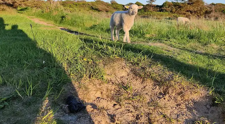 Holiday home in Nr Lyngby Strand
