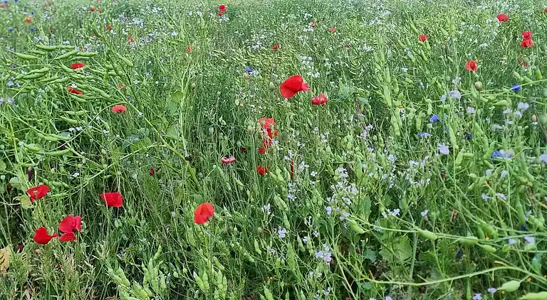 Holiday home in Løgstrup