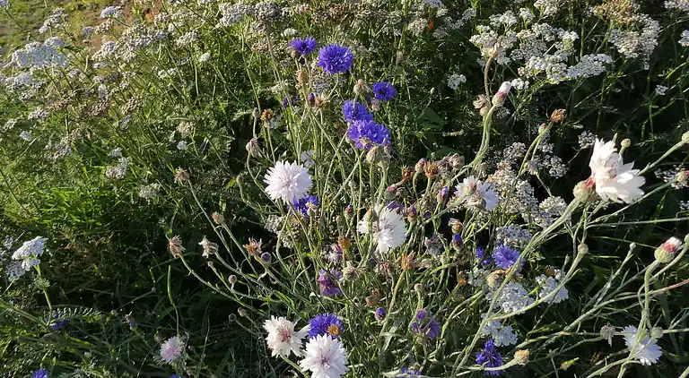 Holiday home in Løgstrup