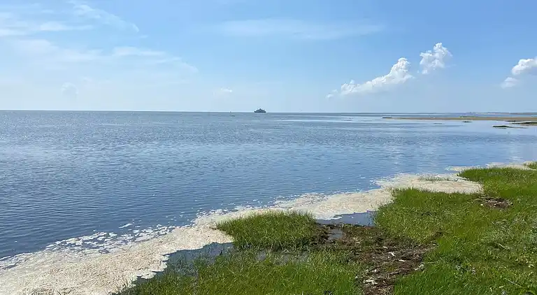 Semesterbostad i Kongsmark