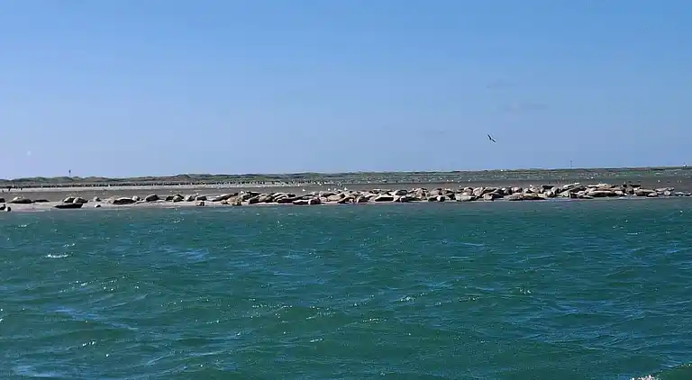 Sommerhus i Thyborøn