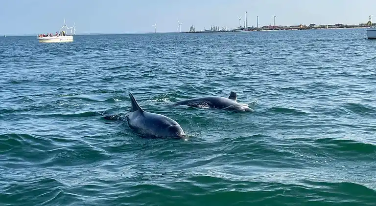 Vakantiehuis in Thyborøn