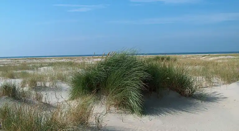 Holiday home in Havneby