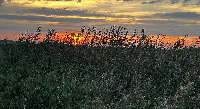 Holiday home in Øer Strand