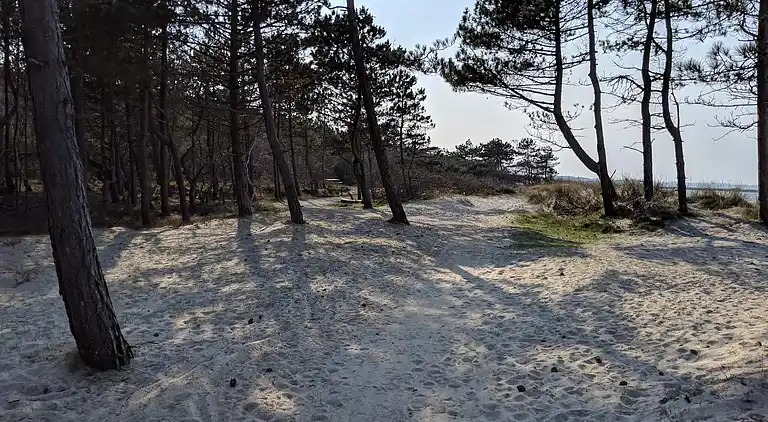 Holiday home in Hornbæk