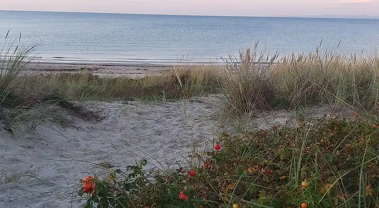 Holiday home in Hornbæk