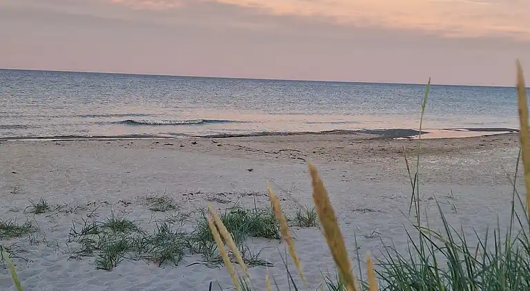  🌞 Attraktivt og lyst sommerhus i Hals