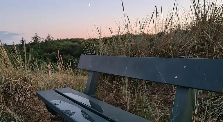  🌞 Attraktivt og lyst sommerhus i Hals