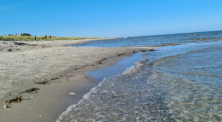  🌞 Attraktivt og lyst sommerhus i Hals