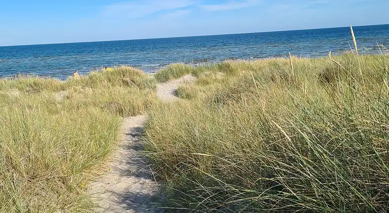  🌞 Attraktivt og lyst sommerhus i Hals