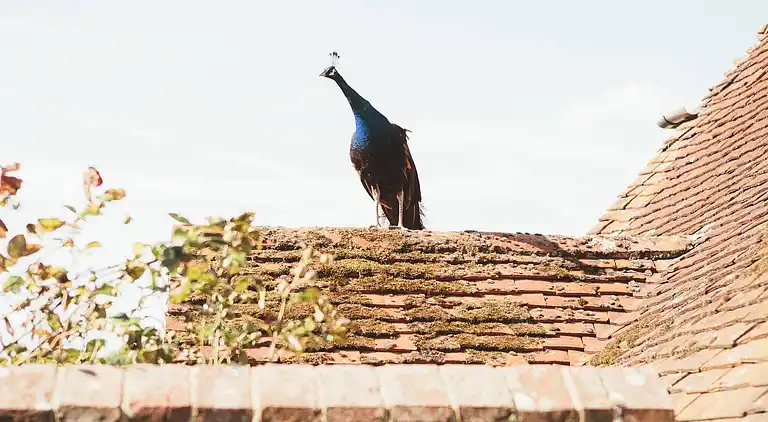 Rückzugsort am See in Sussex