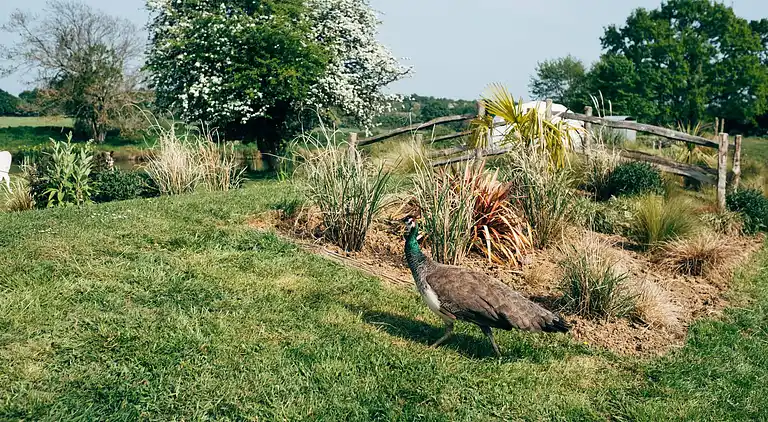 Rückzugsort am See in Sussex