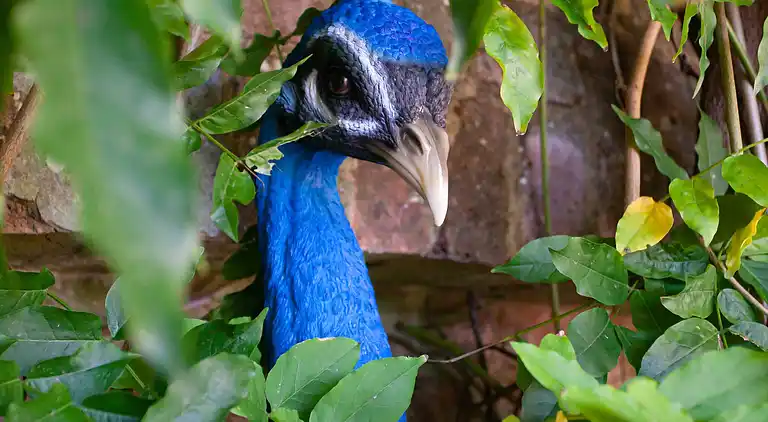 Rückzugsort am See in Sussex