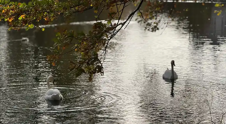 Feriebolig i Gråsten