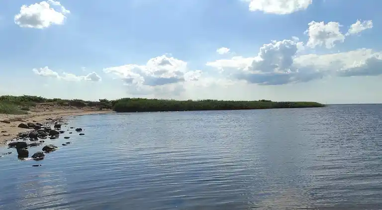 Sommerhus ved Skaven Strand