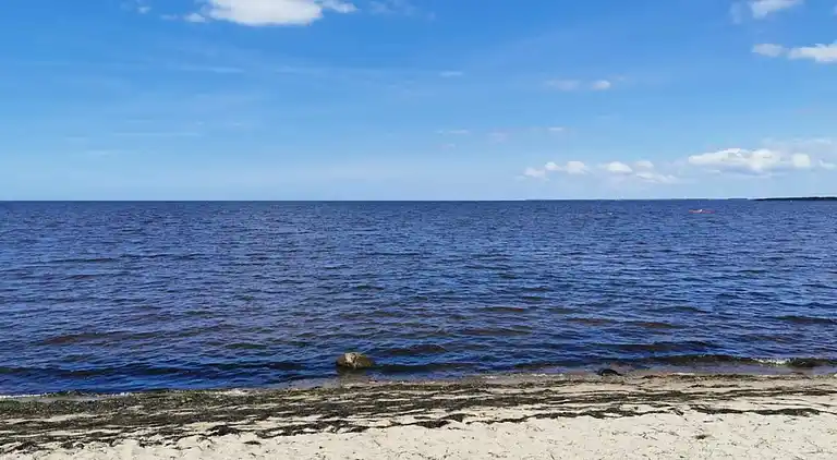 Sommerhus ved Skaven Strand