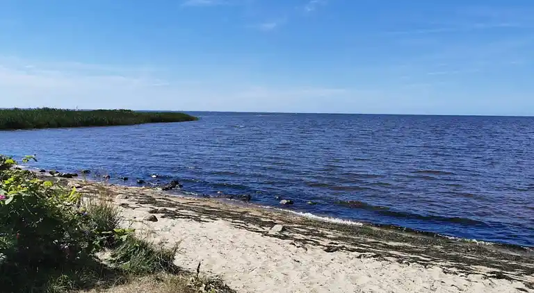 Sommerhus ved Skaven Strand