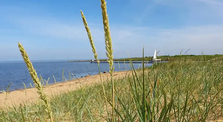 Sommerhus ved Skaven Strand