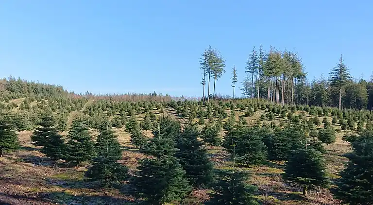 Holiday home in Skals