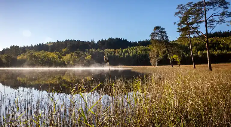 Holiday home in Skals