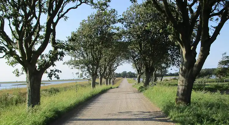 Holiday home in Vrist Strand