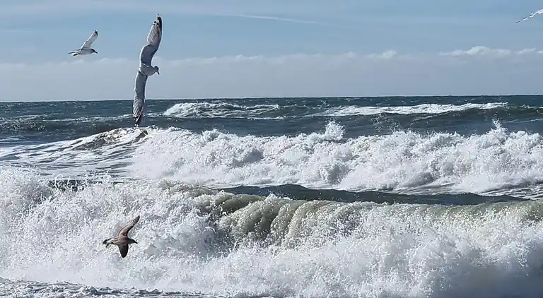 Feriebolig i Harboøre