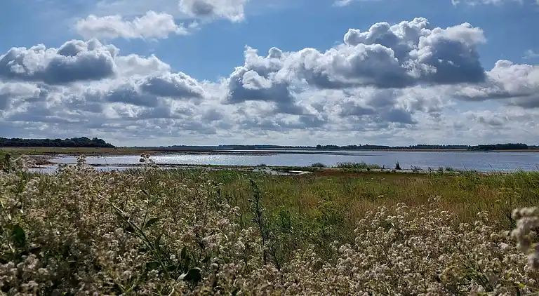 Feriebolig i Harboøre
