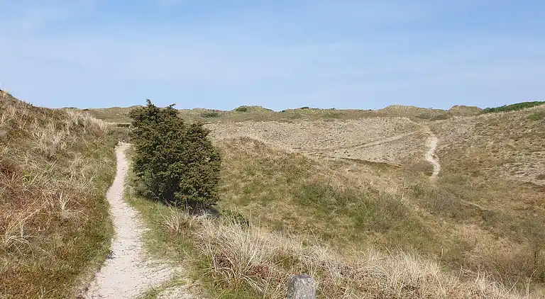 Sommerhus i Bindslev