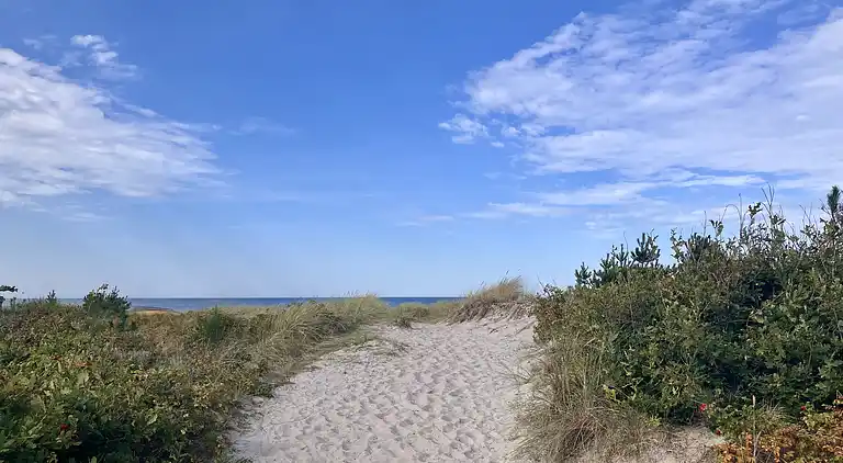 Sommerhushygge ikke langt fra strand og skov