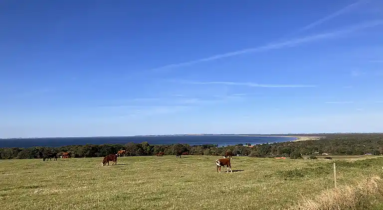 Sommerhushygge ikke langt fra strand og skov