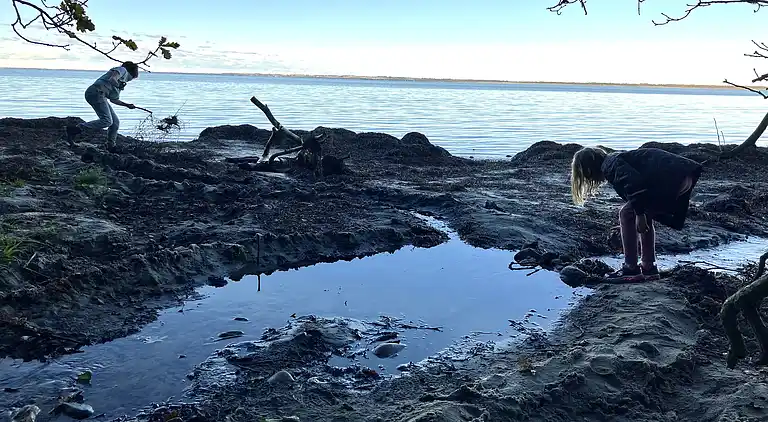 Sommerhushygge ikke langt fra strand og skov