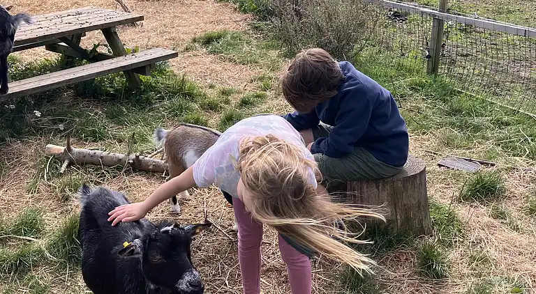 Sommerhushygge ikke langt fra strand og skov