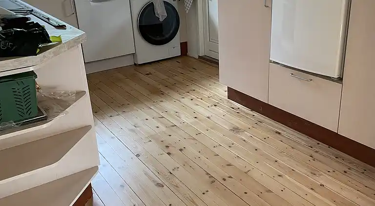 Sommerhus tæt på strand, natur og aktiviteter