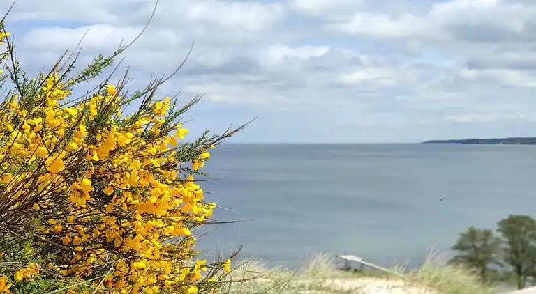 Casa vacanze in Hvidbjerg Strand