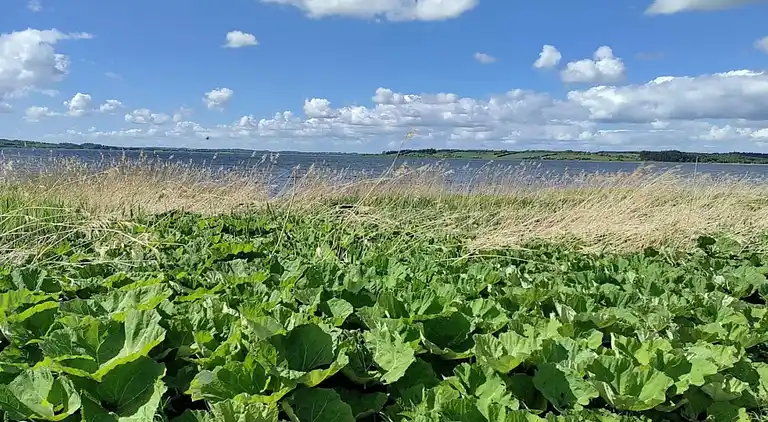 Sommerhus i Løgstrup