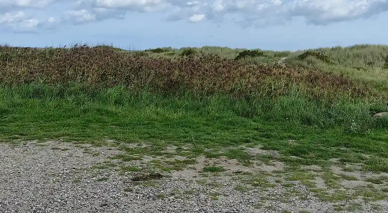 Holiday home in Sæby