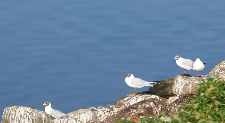 Holiday home in Skals