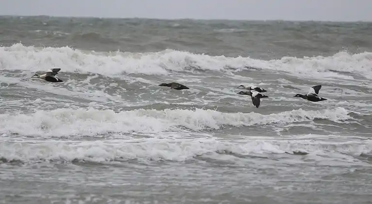Holiday home in Løkken