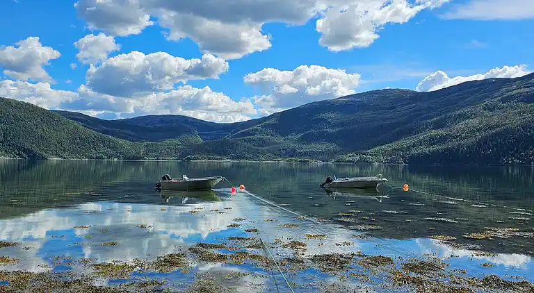 Semesterbostad i Aarfor