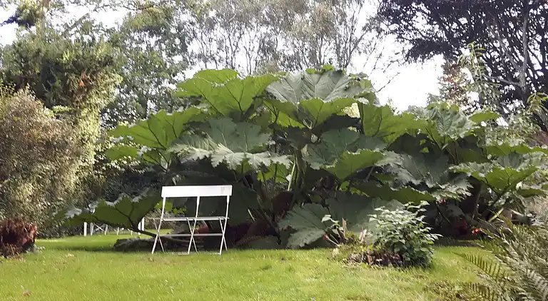 Semesterbostad i Thyholm