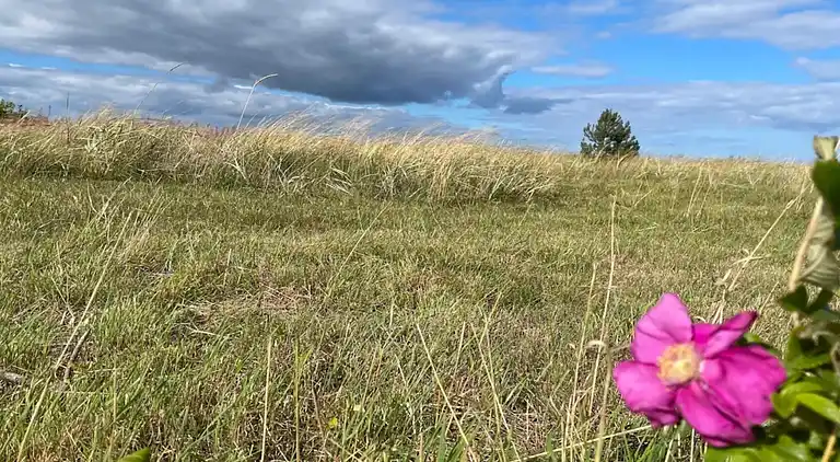 Holiday home in Fjellerup Strand