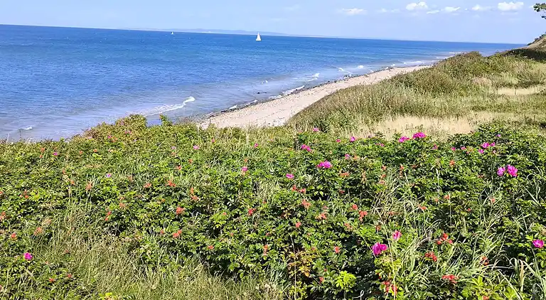 Holiday home in Gilleleje