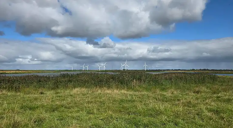 Feriebolig i Bramming